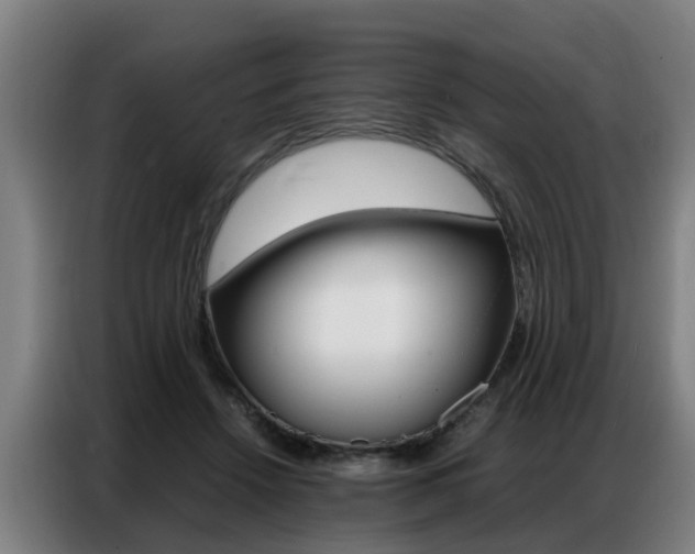 X0000087320456200704200743