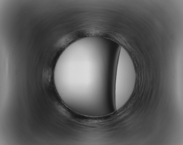 X0000087320458200704200743