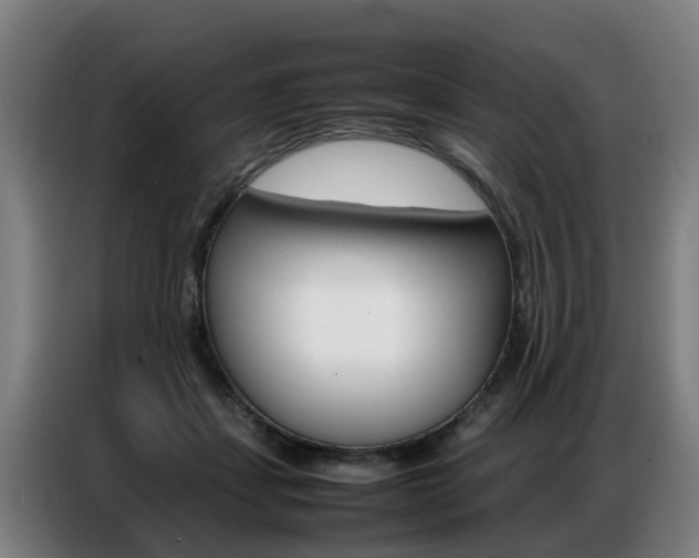 X0000087320459200704200743