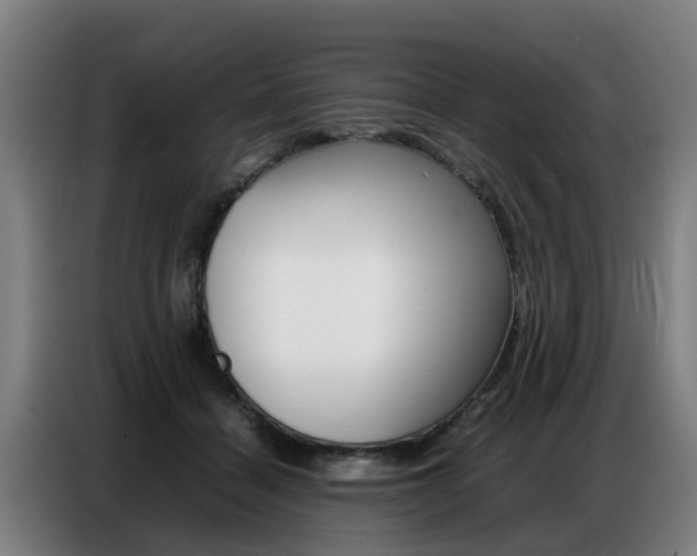 X0000087320460200704200743