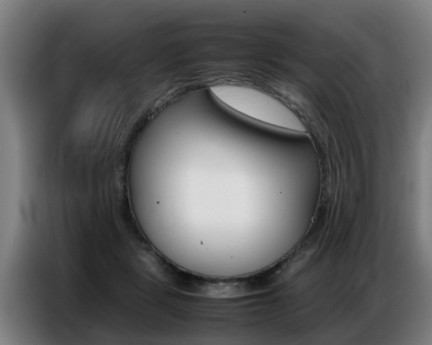 X0000087320461200704200743