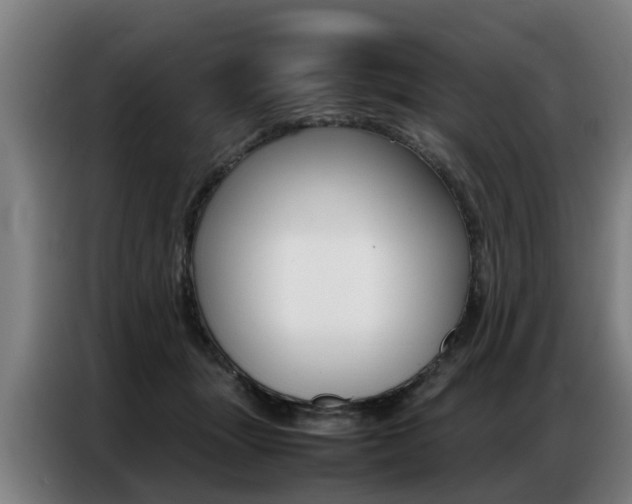 X0000087320463200704200743