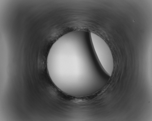 X0000087320464200704200743