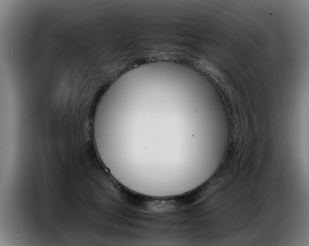 X0000087320465200704200743