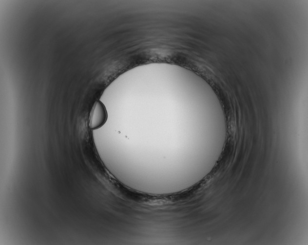 X0000087320468200704200743