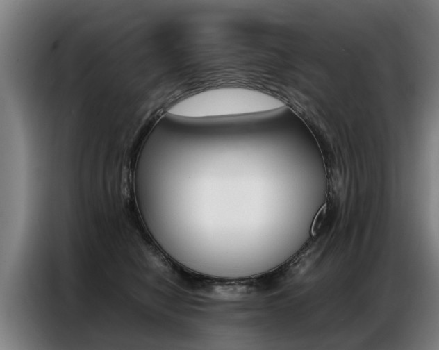 X0000087320470200704200743