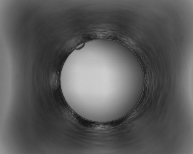 X0000087320471200704200743