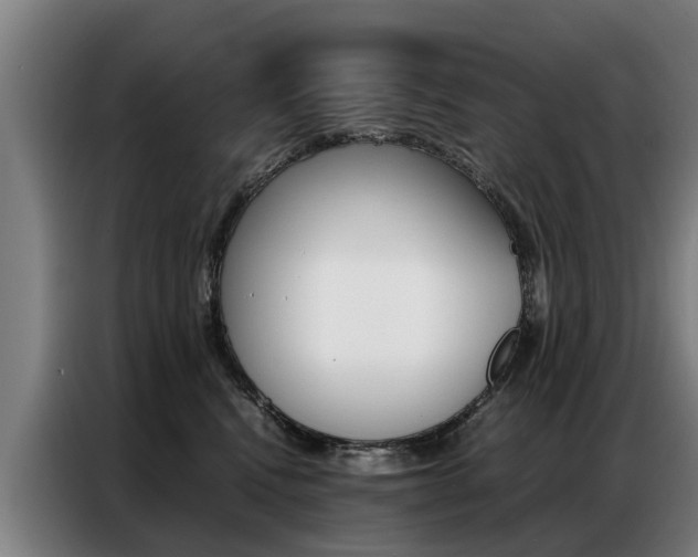 X0000087320472200704200743