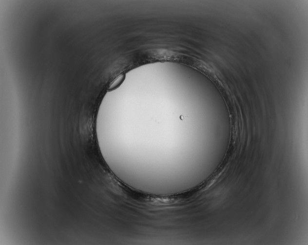 X0000087320473200704200743