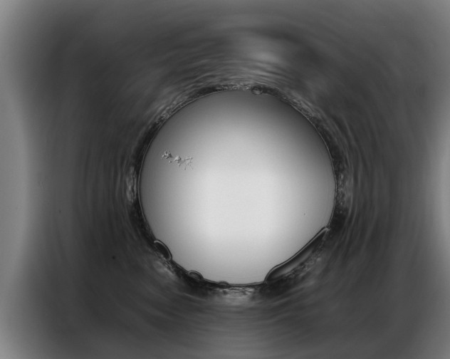 X0000087320474200704200743