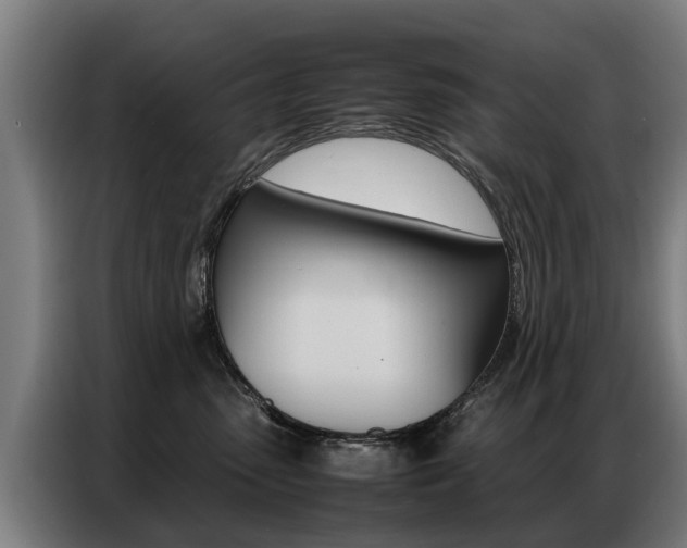 X0000087320475200704200743