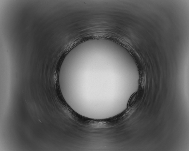 X0000087320476200704200743
