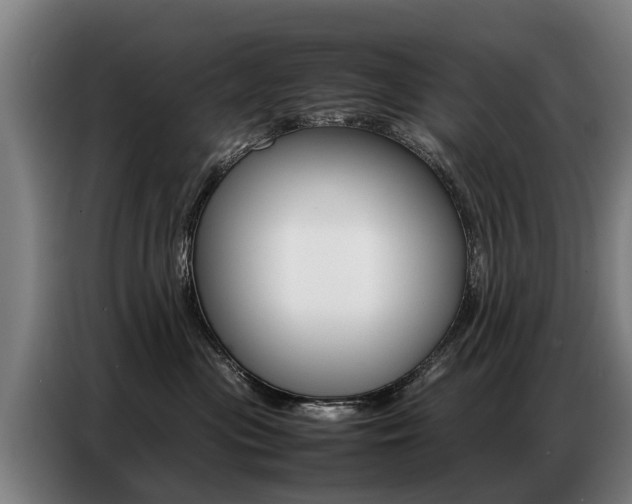 X0000087320477200704200743