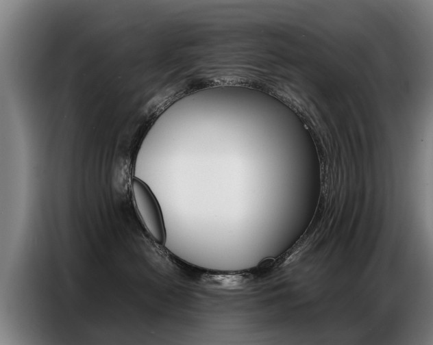 X0000087320478200704200743