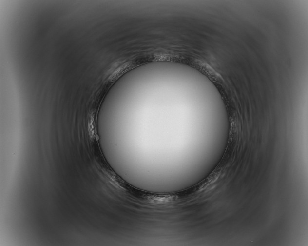 X0000087320479200704200743