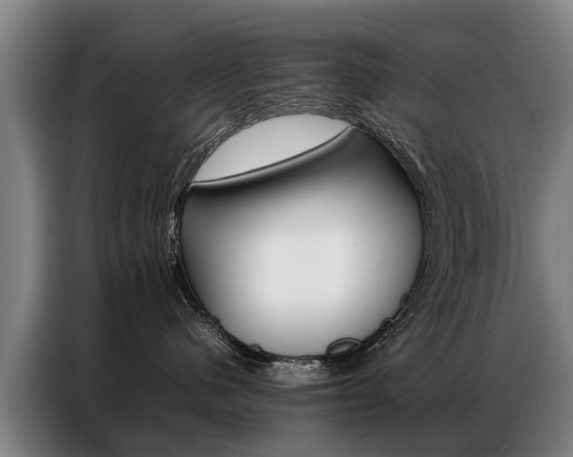 X0000087320480200704200743