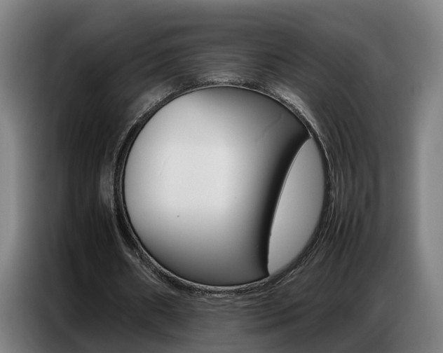 X0000087320482200704200742