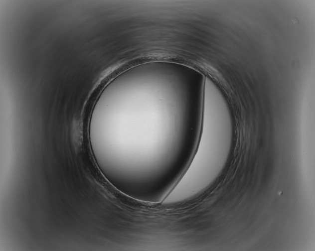 X0000087320484200704200742