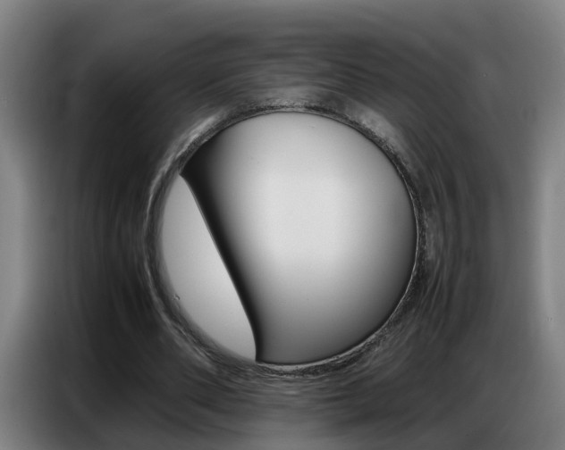 X0000087320486200704200742
