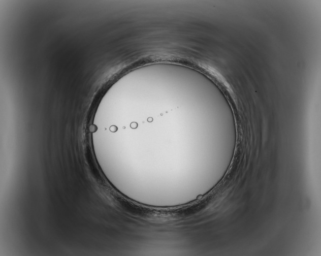 X0000087320487200704200742