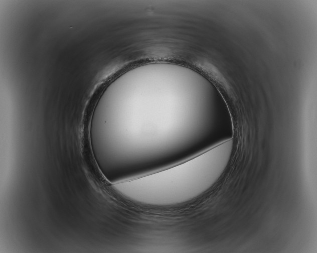 X0000087320488200704200742
