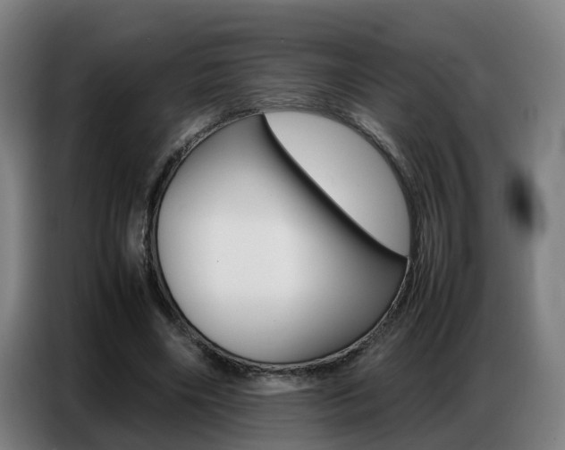 X0000087320490200704200742