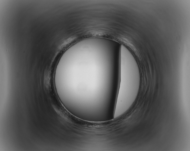 X0000087320492200704200742