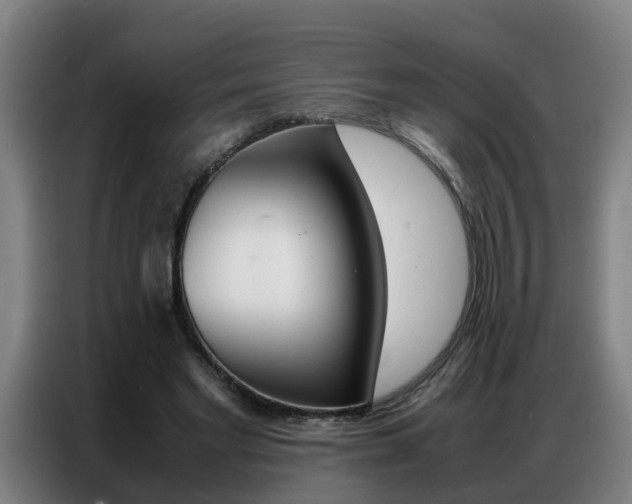 X0000087320493200704200742