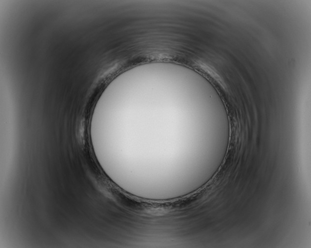 X0000087320494200704200742