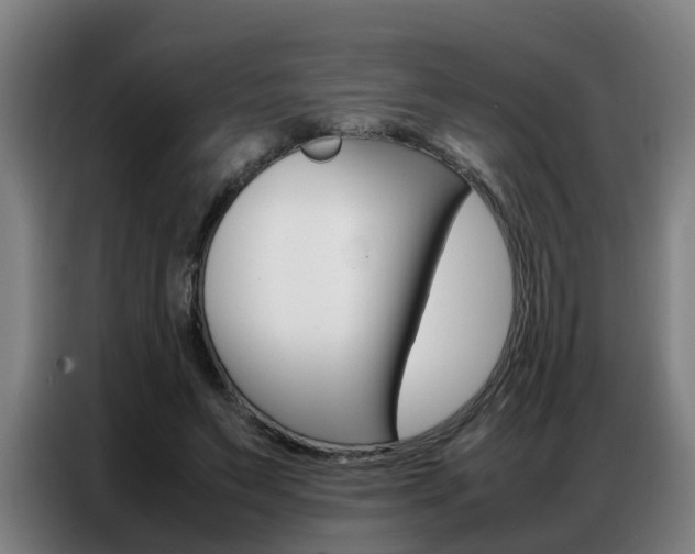 X0000087320495200704200742