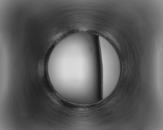 X0000087320496200704200742