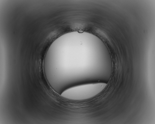 X0000087320498200704200742
