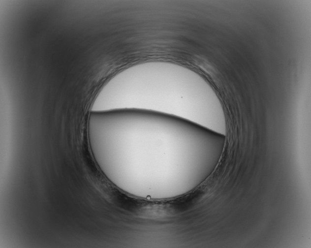 X0000087320499200704200742