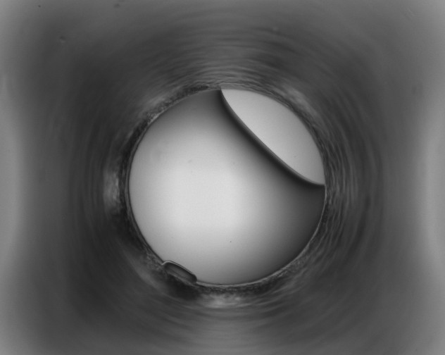 X0000087320500200704200742
