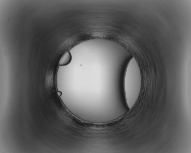 X0000087320502200704200742