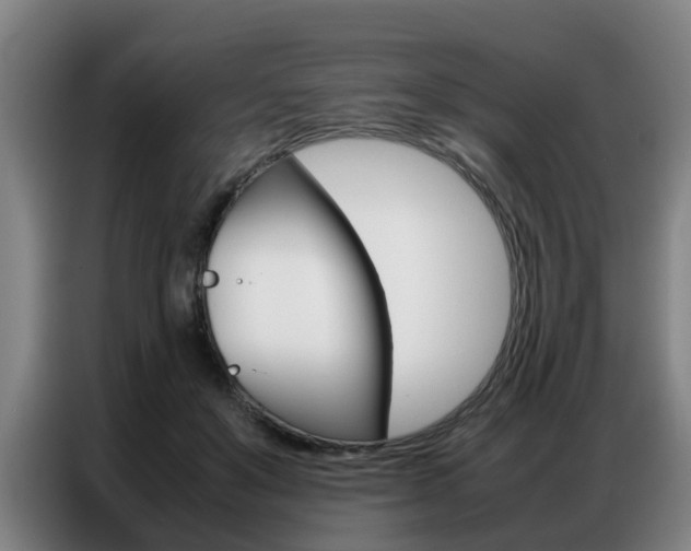 X0000087320503200704200742