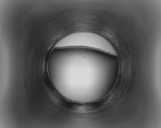 X0000087320504200704200742