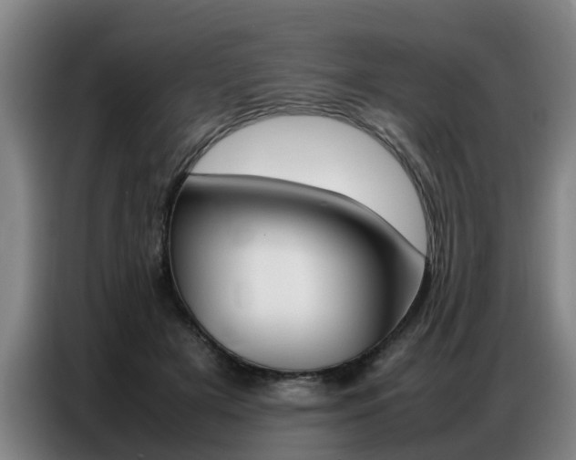 X0000087320505200704200742
