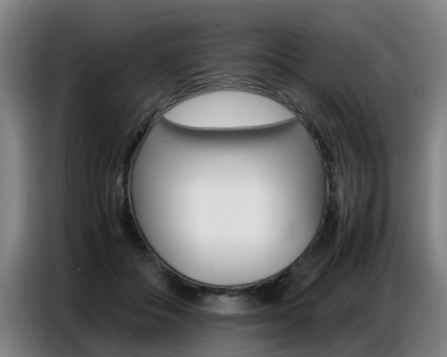 X0000087320506200704200742