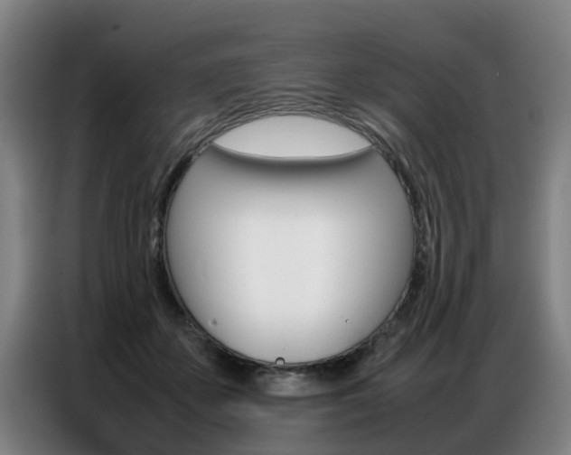 X0000087320507200704200742