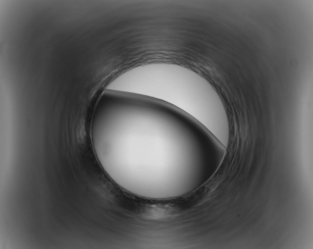 X0000087320508200704200742