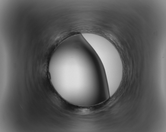 X0000087320509200704200742