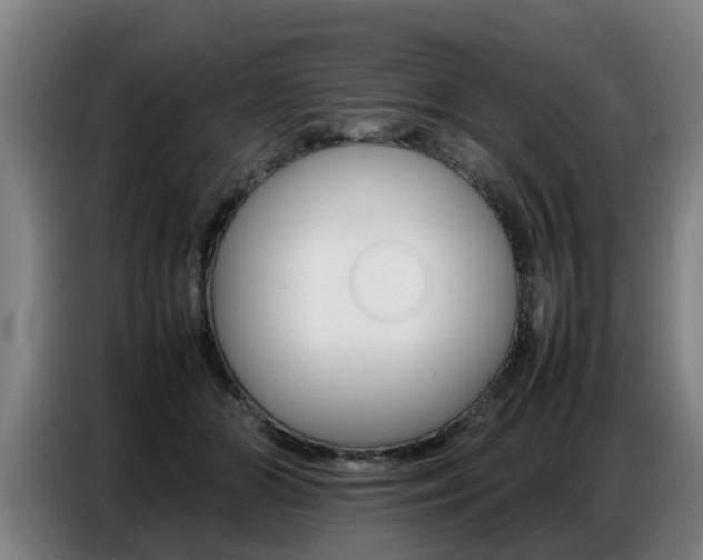 X0000087320510200704200742