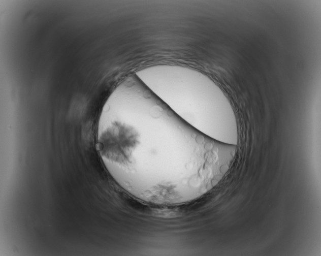 X0000087320511200704200742