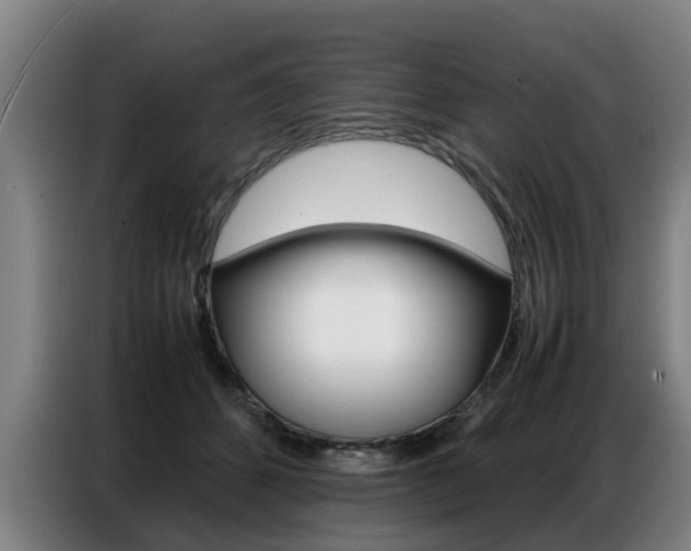 X0000087320512200704200742