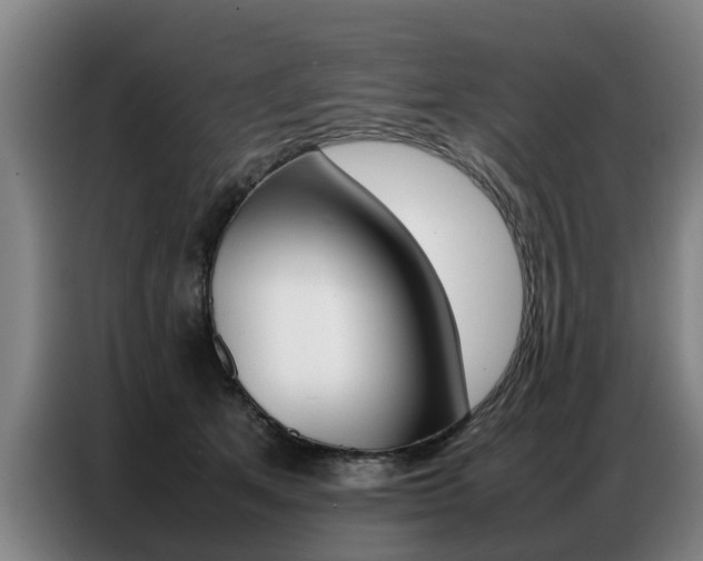 X0000087320513200704200742