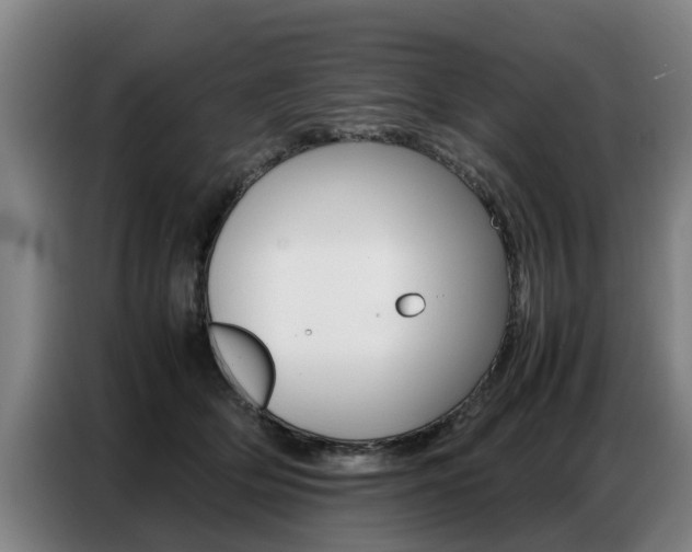 X0000087320514200704200742