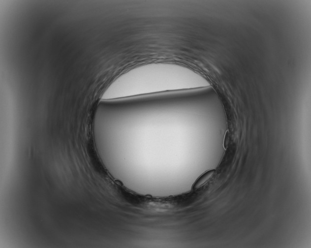 X0000087320515200704200742