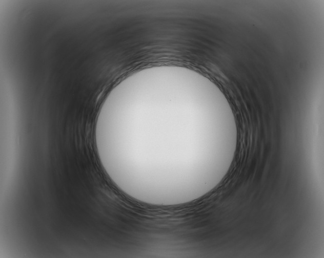 X0000087320516200704200742