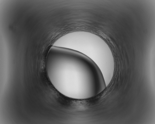 X0000087320517200704200742